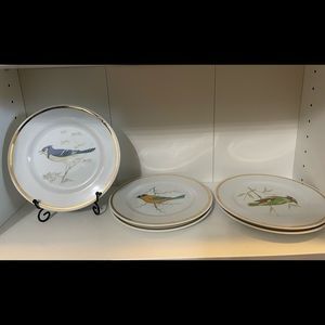 Vintage Royalton Translucent Porcelain’s Birds Decorative Plate Set5 included